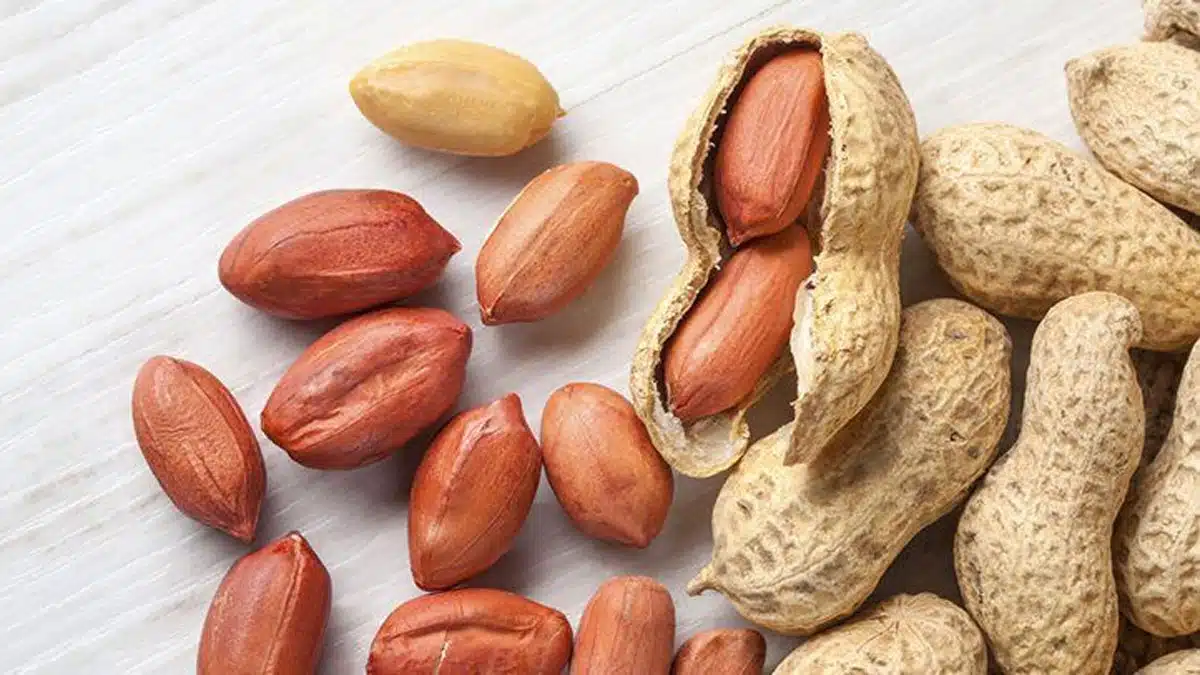 Makhana vs Peanuts: Which Snack is Better for Weight Loss?