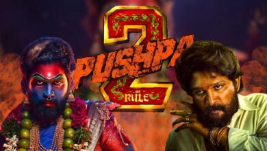 Pushpa: The Rule (Part-2) - Struggle