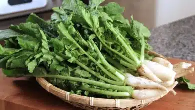 Five benefits of eating radish leaves that you must know