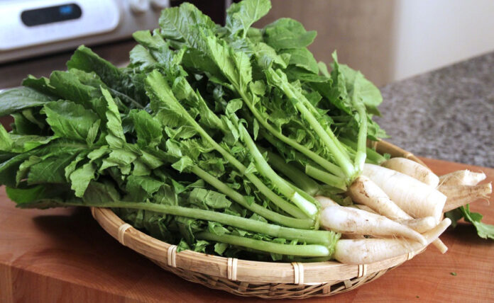 Five benefits of eating radish leaves that you must know