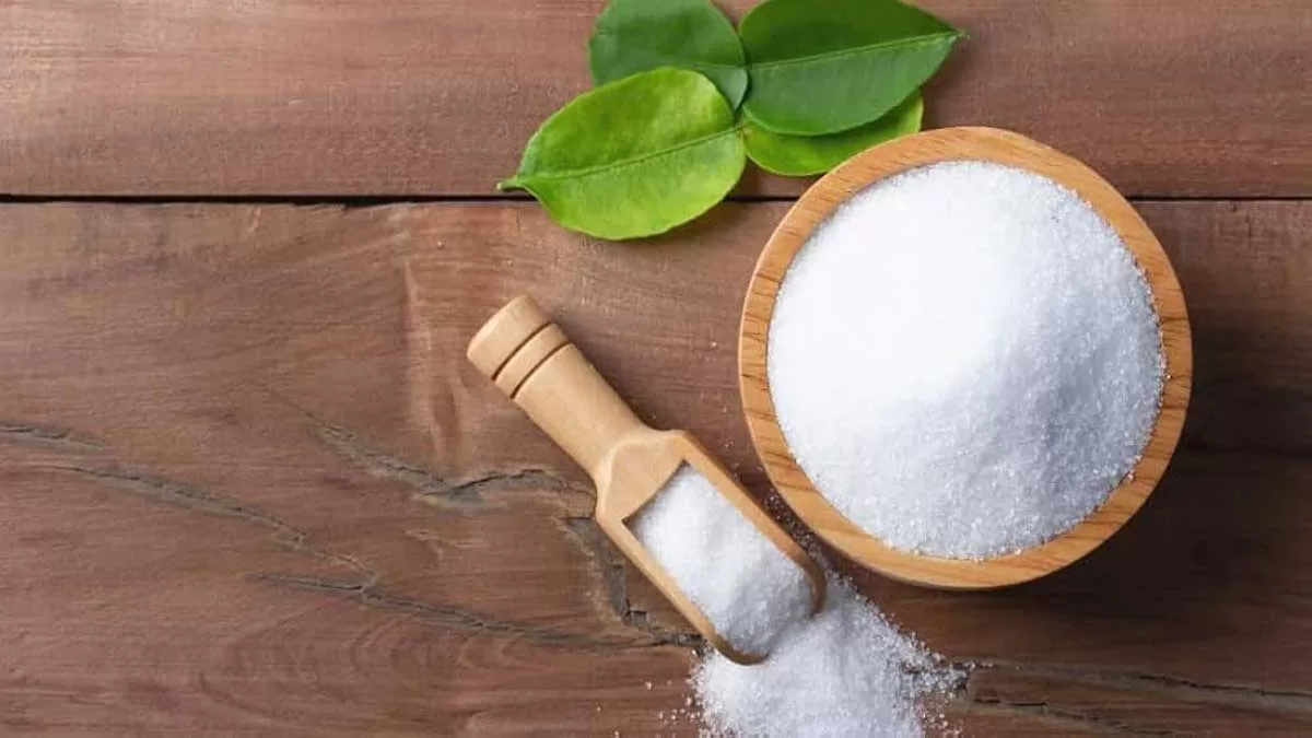 5 Iodine-Rich Foods for a Healthy Diet