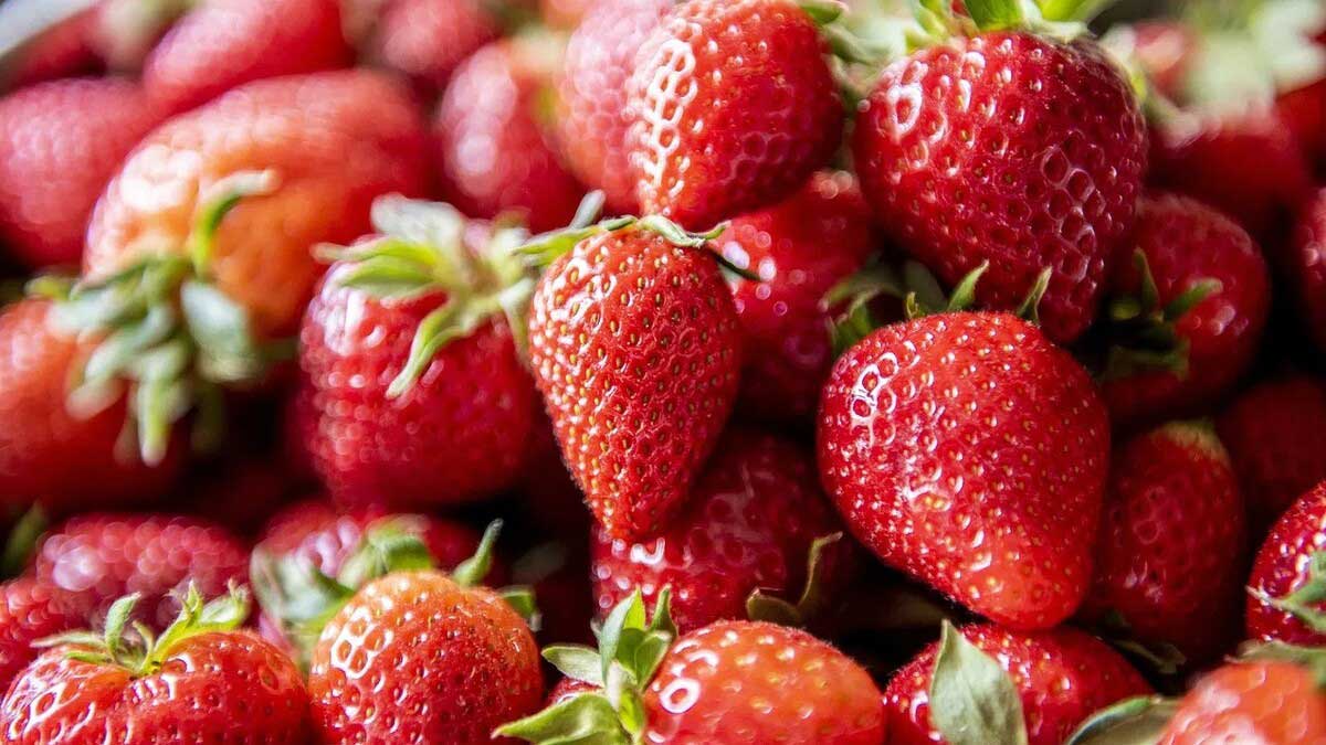 5 health benefits of eating strawberries in winter