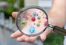 6 Key Facts About Infectious Diseases