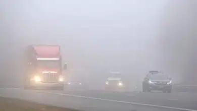 Dense fog in North India