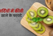 Eating Kiwi in winter gives these 5 health benefits