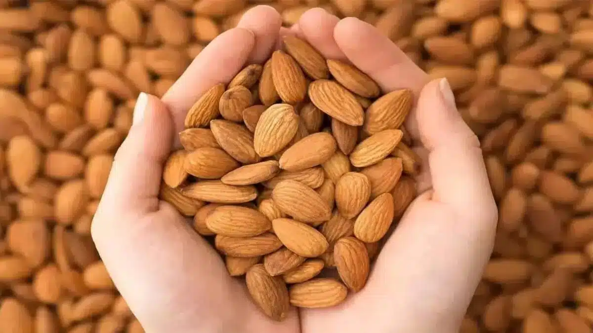 Eating almonds gives these health benefits