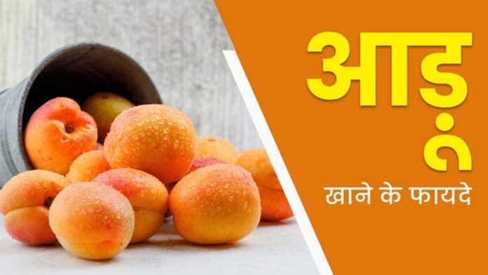 Eating peach in winter will give you these 5 amazing health benefits