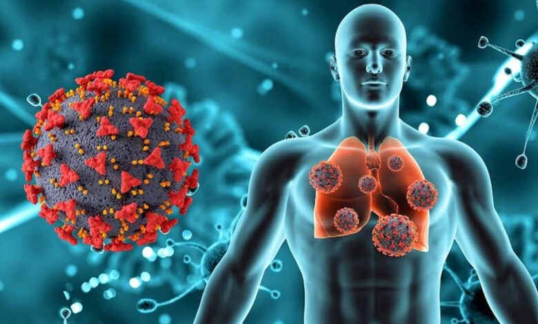 HMPV a virus that causes respiratory infections