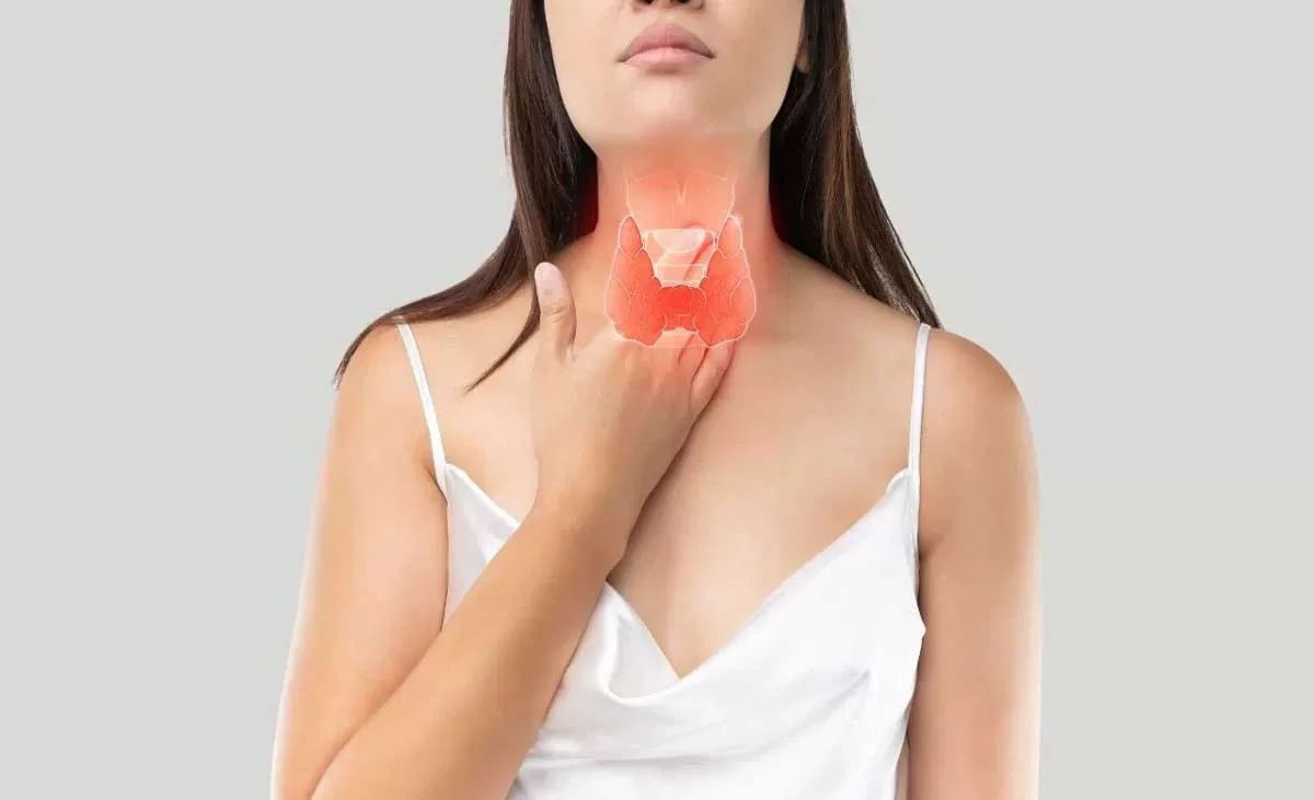 How to Understand Thyroid Function and Health