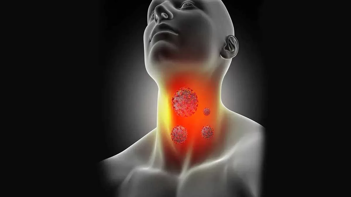 How to Understand Thyroid Function and Health