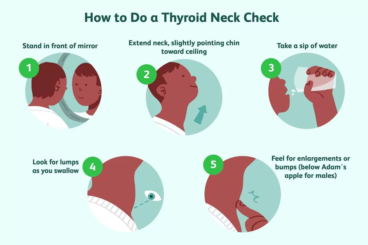 How to Understand Thyroid Function and Health