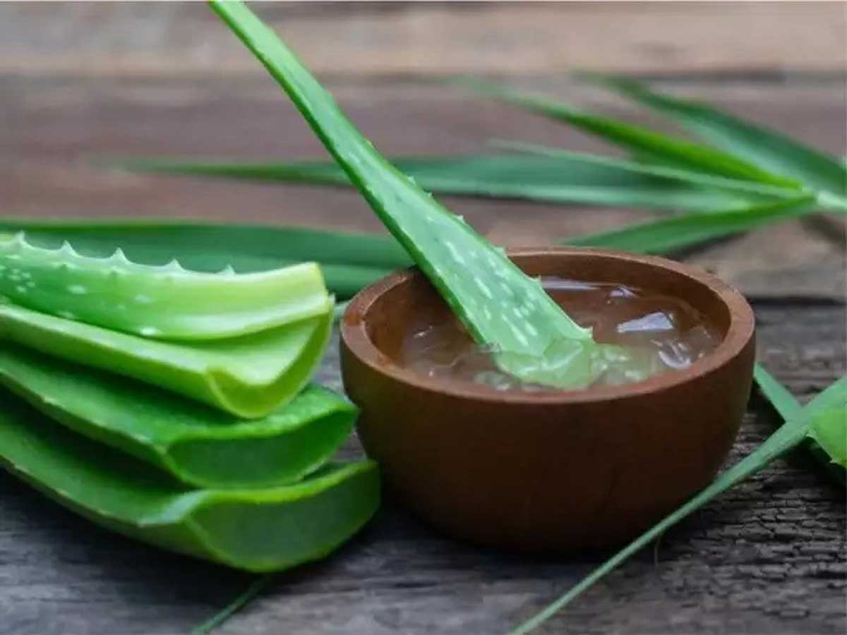 How to Use AloeVera Gel for Skin Care