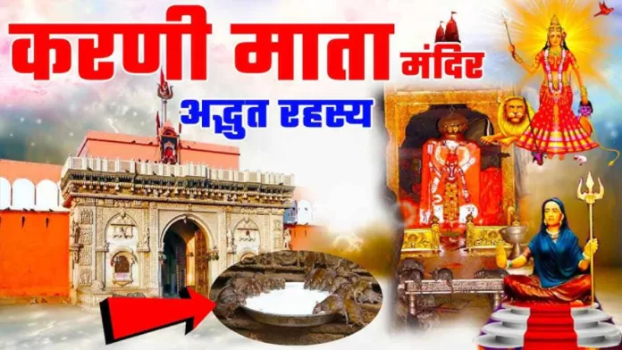 Karni Mata Temple: The Miracle of Rajasthan