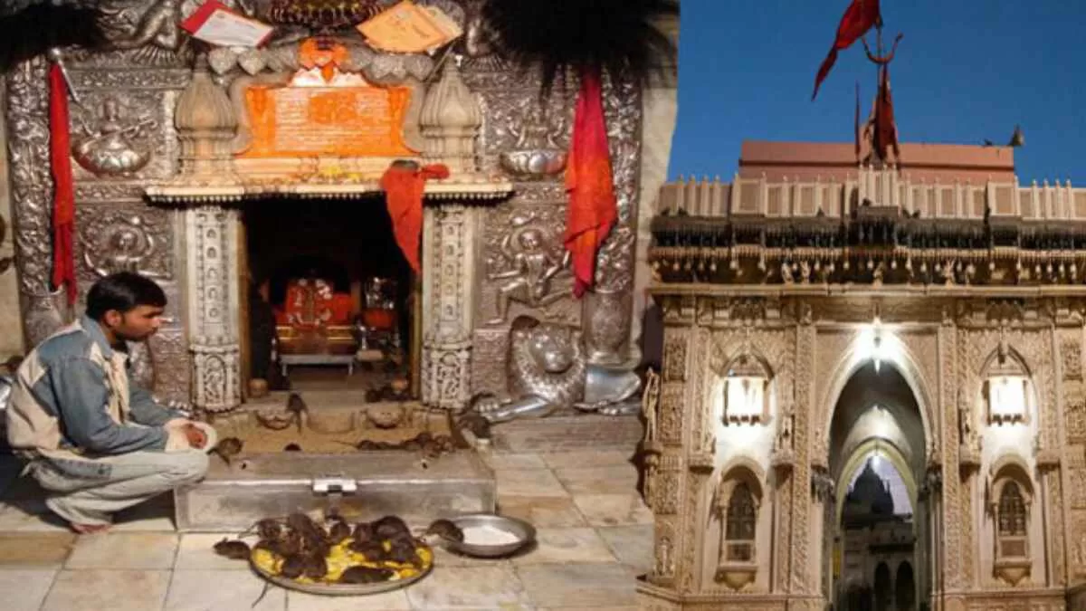 Karni Mata Temple: The Miracle of Rajasthan