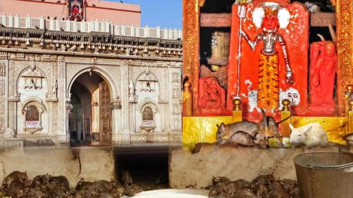 Karni Mata Temple: The Miracle of Rajasthan