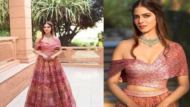 Malavika Mohanan's stylish pink lehenga