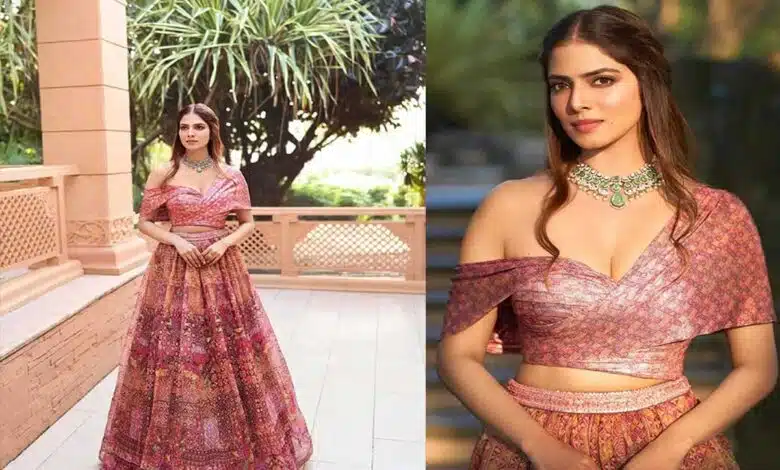 Malavika Mohanan's stylish pink lehenga