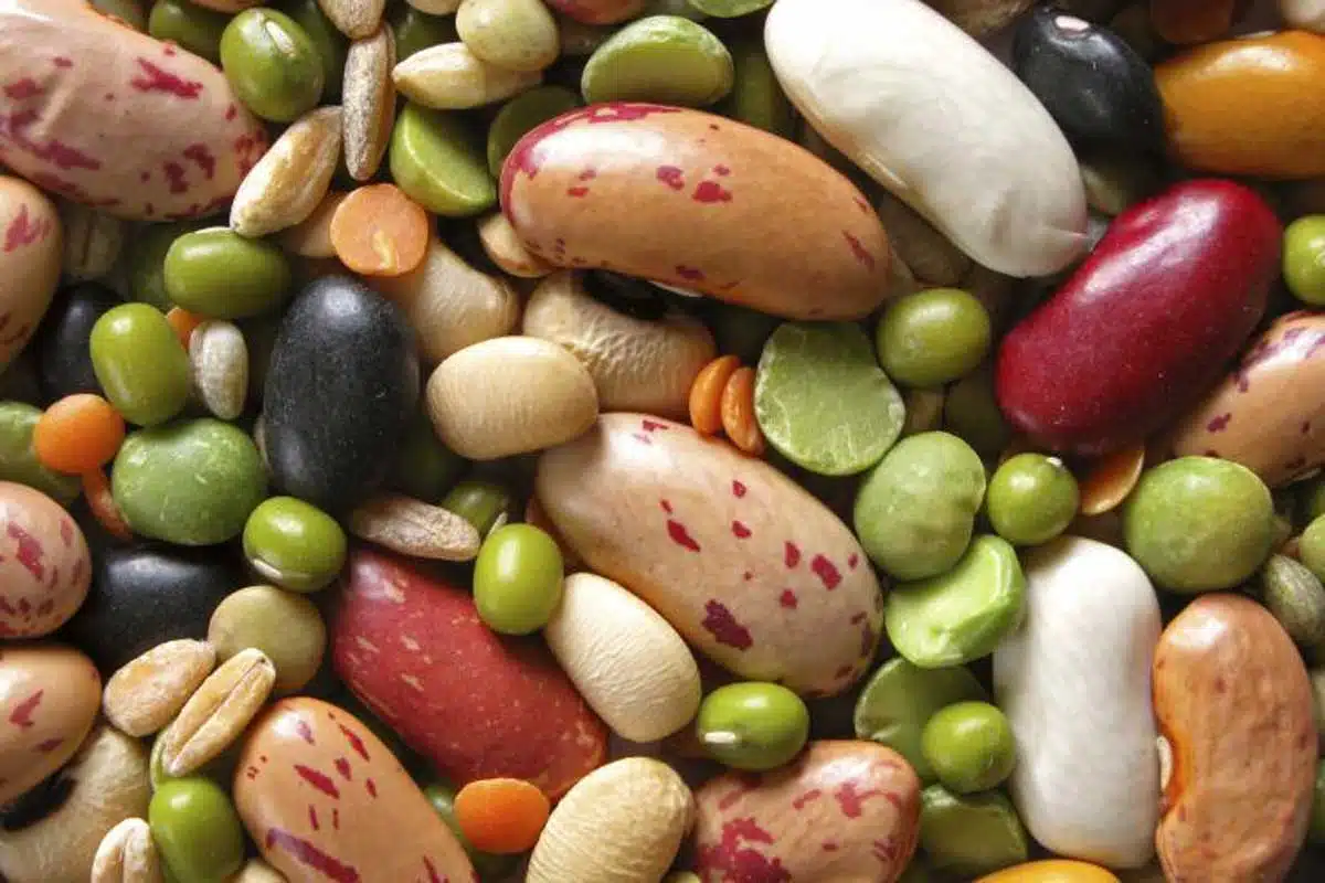 National Bean Day Celebrating this nutrition-packed day