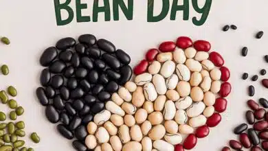 National Bean Day Celebrating this nutrition-packed day