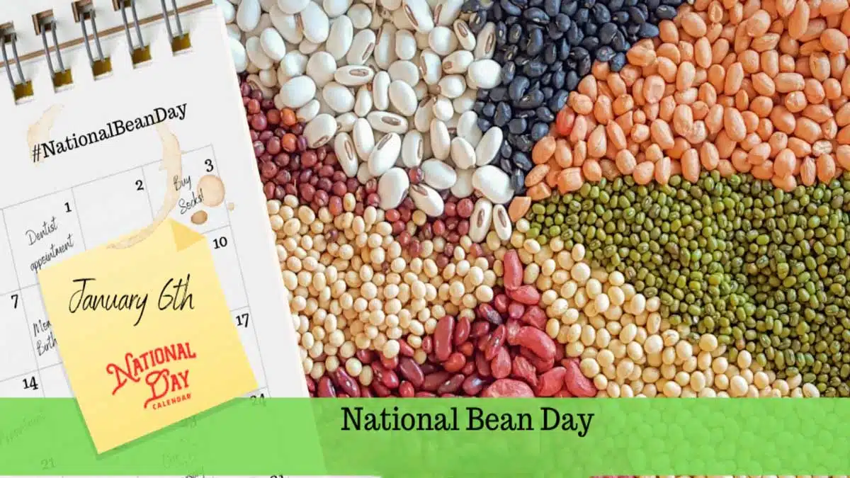 National Bean Day Celebrating this nutrition-packed day