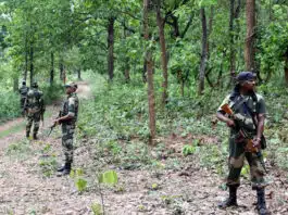 12 Naxalites killed in encounter with security forces on Chhattisgarh-Odisha border