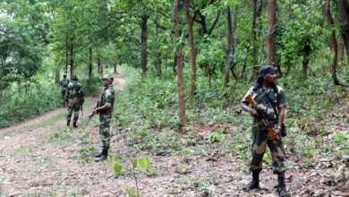 12 Naxalites killed in encounter with security forces on Chhattisgarh-Odisha border