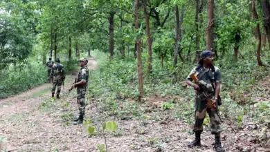 12 Naxalites killed in encounter with security forces on Chhattisgarh-Odisha border