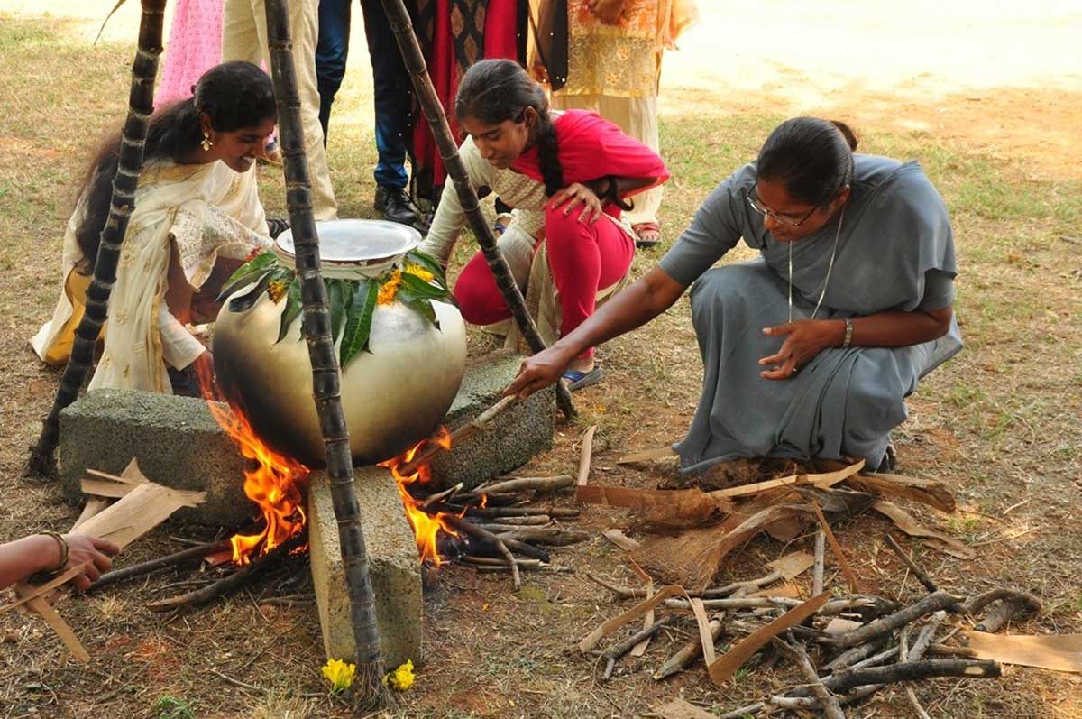 Pongal 2025 Festival of harvest and gratitude