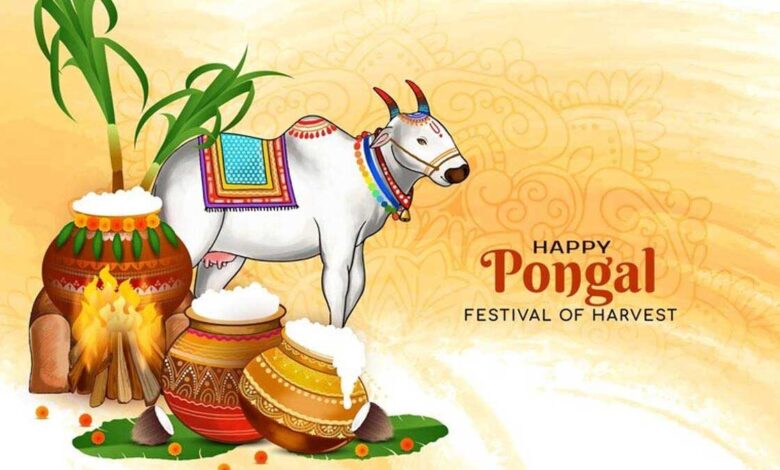 Pongal 2025 Festival of harvest and gratitude