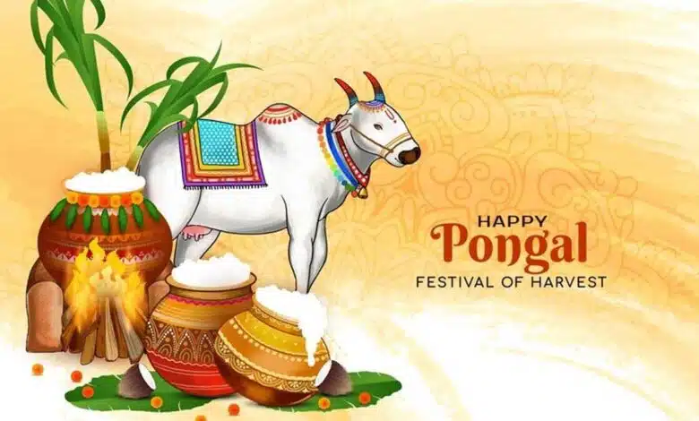Pongal 2025 Festival of harvest and gratitude