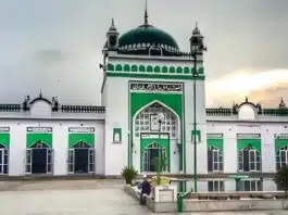 Sambhal Masjid Row: Allahabad High Court stays trial court proceedings till 25 February