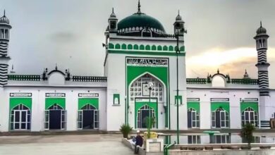Sambhal Masjid Row: Allahabad High Court stays trial court proceedings till 25 February