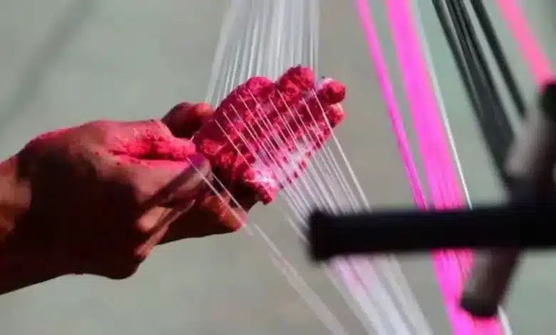 Maharashtra: Several people died due to nylon kites