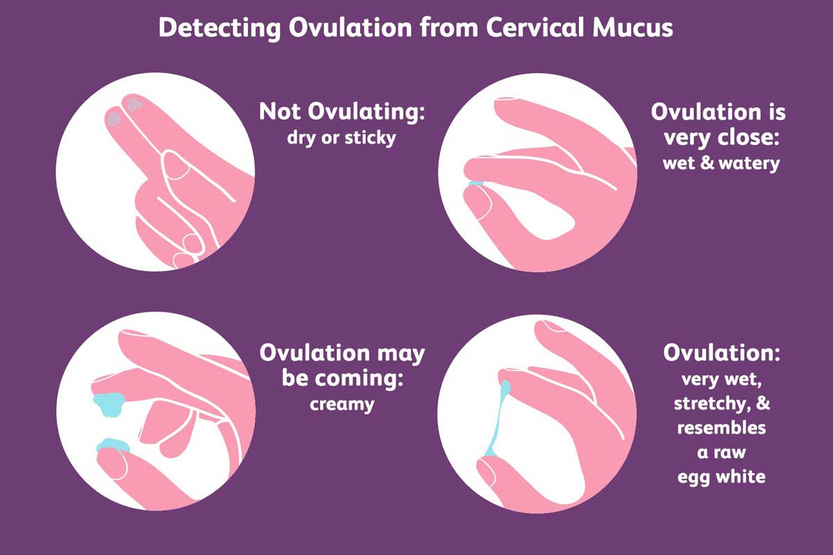 The role of white discharge in women's health