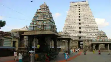 Nandi face the sacred mountain at Tiruvannamalai?