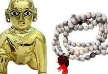 What are the benefits of wearing Vaijayanti garland to Laddu Gopal?