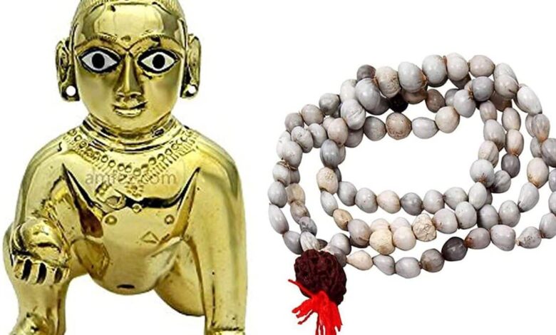 What are the benefits of wearing Vaijayanti garland to Laddu Gopal?