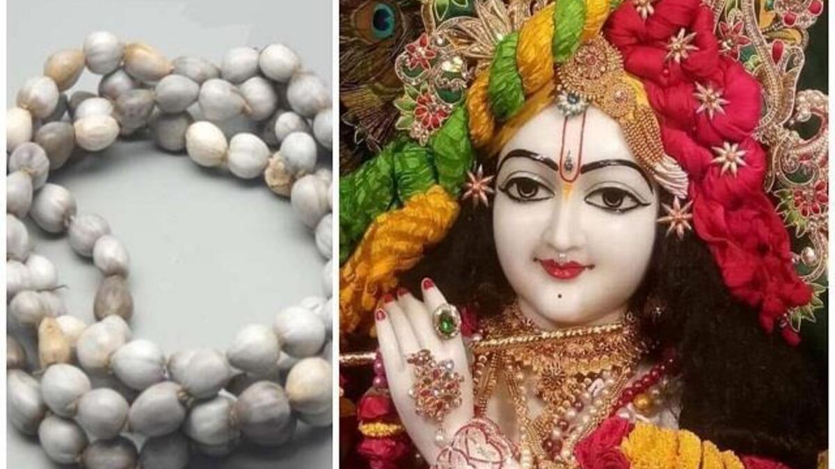 What are the benefits of wearing Vaijayanti garland to Laddu Gopal?