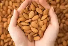 Know how much, when and how to eat Almond for better health.