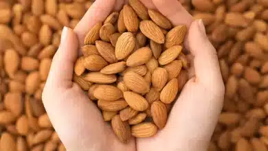 Know how much, when and how to eat Almond for better health.