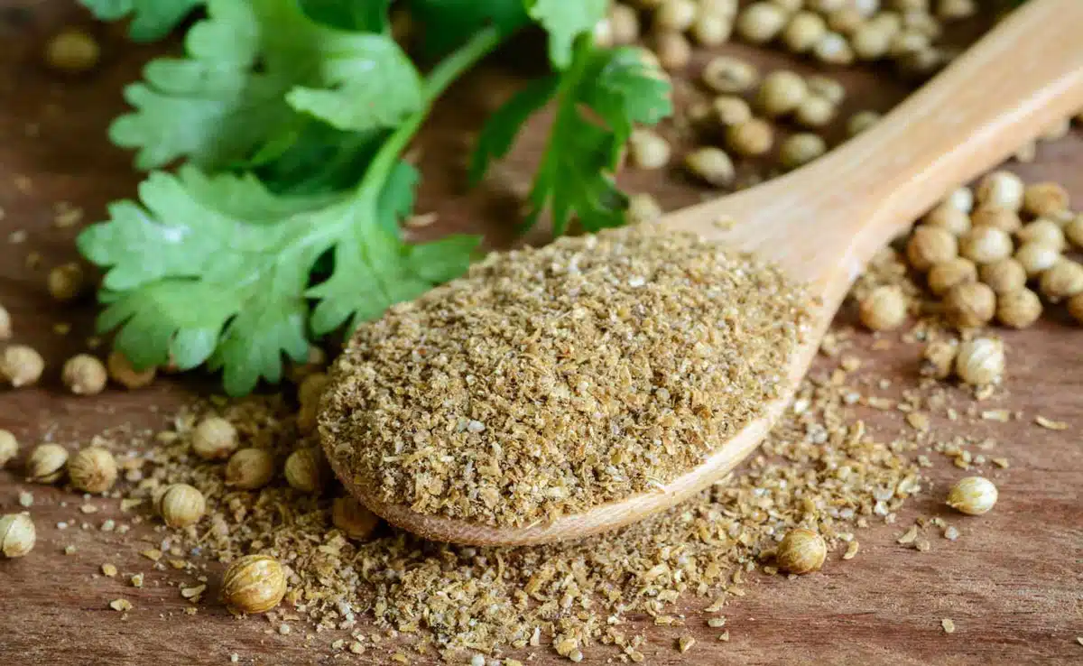 Coriander seeds can cure many serious diseases, know when and how to consume it