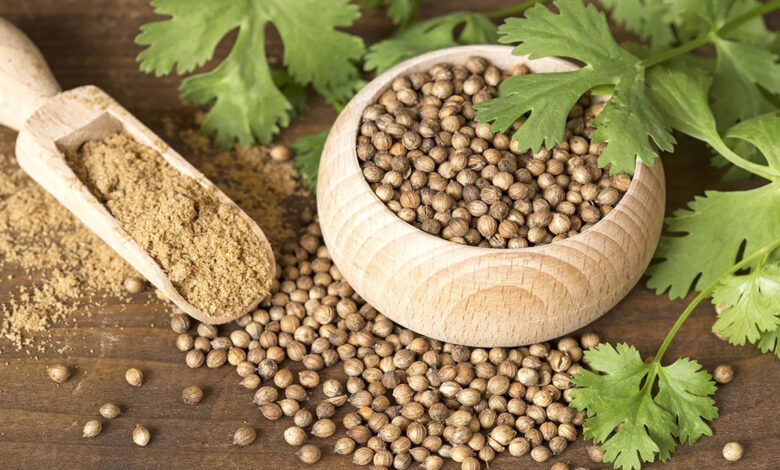 Coriander seeds can cure many serious diseases, know when and how to consume it