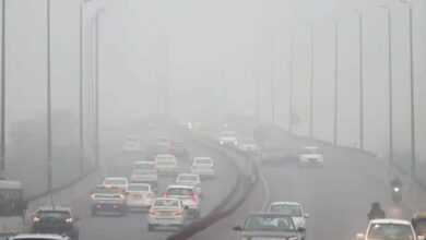 Fog 'wreaks havoc' across North India including Delhi, hundreds of flights and trains affected