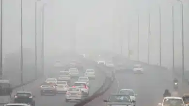 Fog 'wreaks havoc' across North India including Delhi, hundreds of flights and trains affected