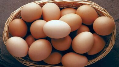 Whole Eggs vs Egg Whites: Which has more protein and nutrition?