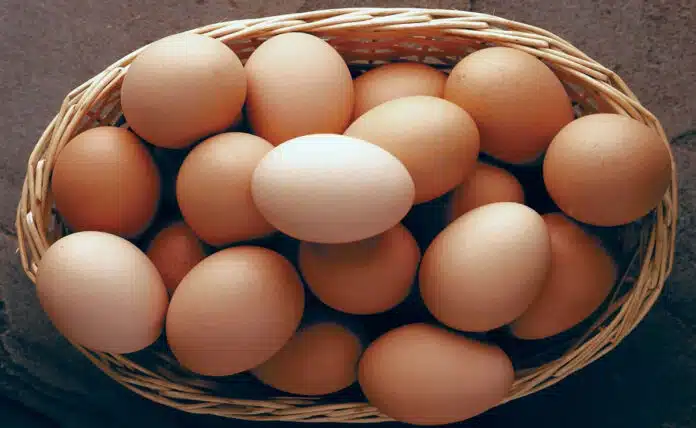 Whole Eggs vs Egg Whites: Which has more protein and nutrition?