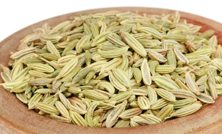 right way to eat fennel