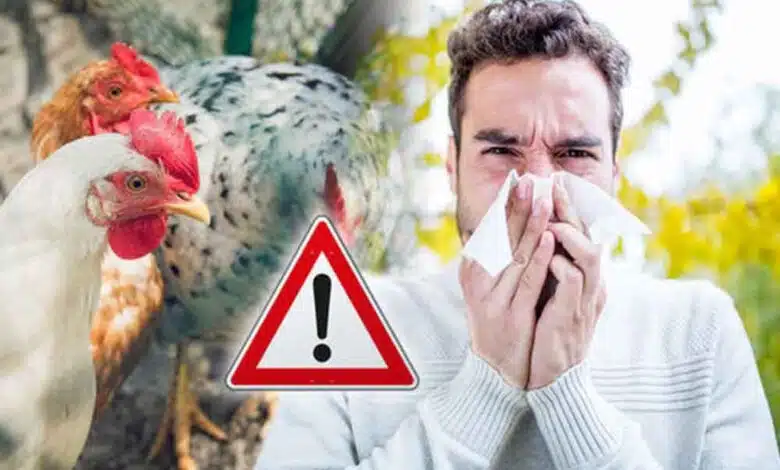 Human bird flu case confirmed in California; CDC urges faster testing