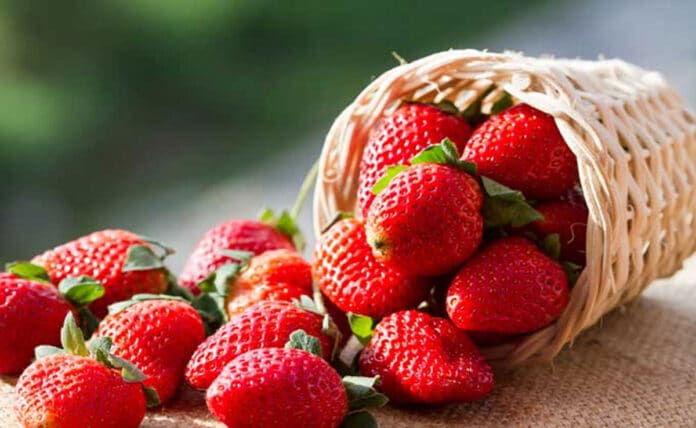 5 health benefits of eating strawberries in winter