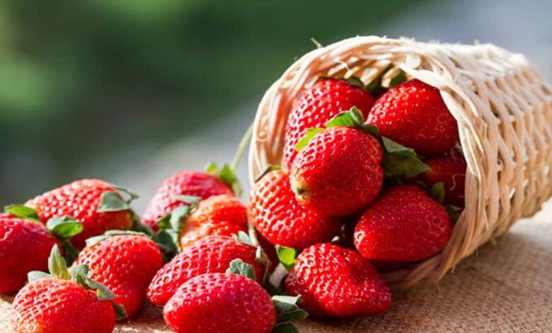 5 health benefits of eating strawberries in winter